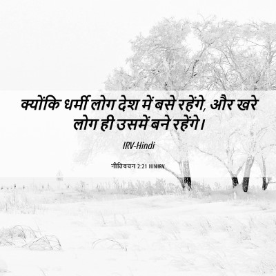 Picture 06 - नीतिवचन 2:21 HINIRV - क्योंकि धर्मी लोग - Bible Verse Picture