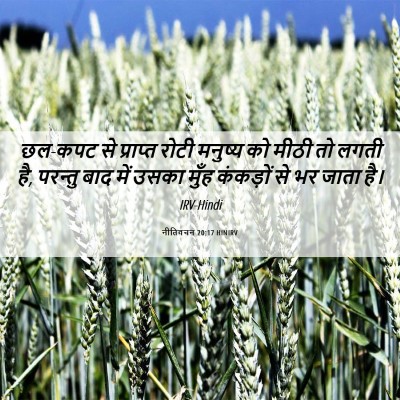 Picture 06 - नीतिवचन 20:17 HINIRV - छल-कपट से प्राप्त - Bible Verse Picture