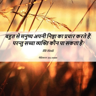 Picture 06 - नीतिवचन 20:6 HINIRV - बहुत से मनुष्य - Bible Verse Picture
