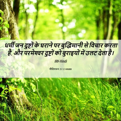 Picture 06 - नीतिवचन 21:12 HINIRV - धर्मी जन दुष्टों - Bible Verse Picture