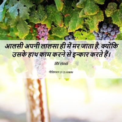 Picture 06 - नीतिवचन 21:25 HINIRV - आलसी अपनी लालसा ही - Bible Verse Picture