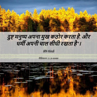 Picture 06 - नीतिवचन 21:29 HINIRV - दुष्ट मनुष्य अपना - Bible Verse Picture