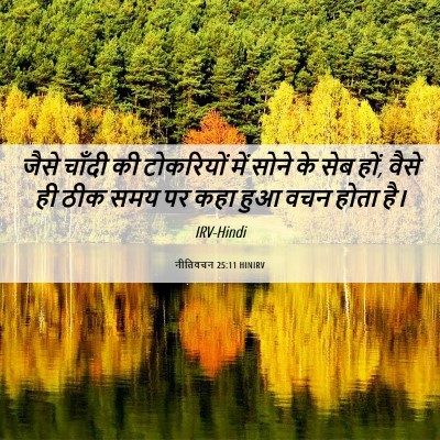 Picture 06 - नीतिवचन 25:11 HINIRV - जैसे चाँदी की - Bible Verse Picture