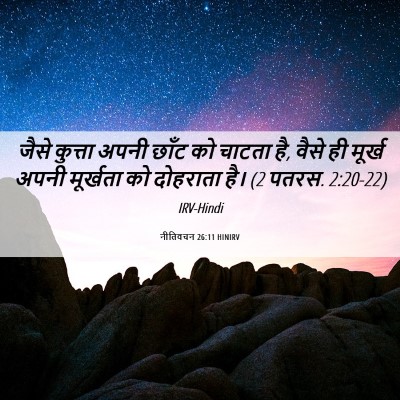 Picture 06 - नीतिवचन 26:11 HINIRV - जैसे कुत्ता अपनी - Bible Verse Picture