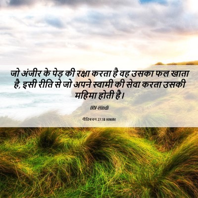 Picture 06 - नीतिवचन 27:18 HINIRV - जो अंजीर के पेड़ की - Bible Verse Picture