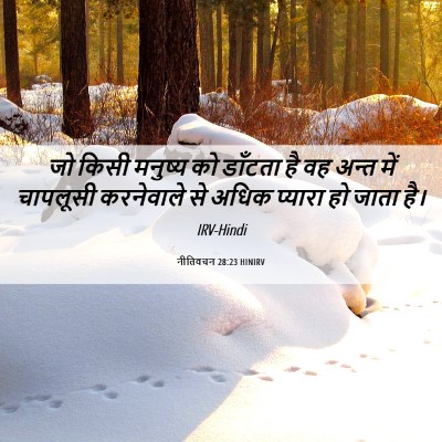 Picture 06 - नीतिवचन 28:23 HINIRV - जो किसी मनुष्य को - Bible Verse Picture