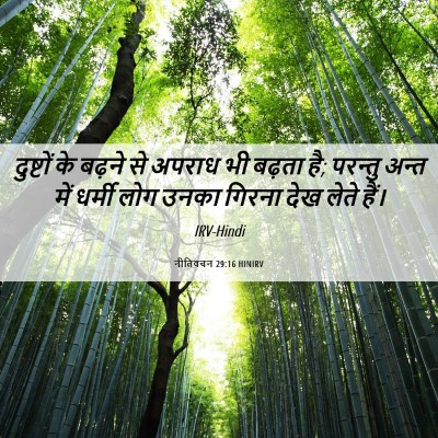 Picture 06 - नीतिवचन 29:16 HINIRV - दुष्टों के बढ़ने - Bible Verse Picture