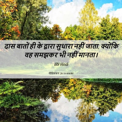 Picture 06 - नीतिवचन 29:19 HINIRV - दास बातों ही के - Bible Verse Picture