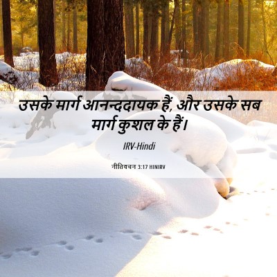 Picture 06 - नीतिवचन 3:17 HINIRV - उसके मार्ग - Bible Verse Picture