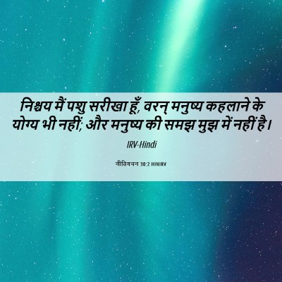Picture 06 - नीतिवचन 30:2 HINIRV - निश्चय मैं पशु - Bible Verse Picture