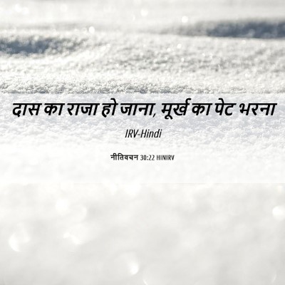 Picture 06 - नीतिवचन 30:22 HINIRV - दास का राजा हो - Bible Verse Picture