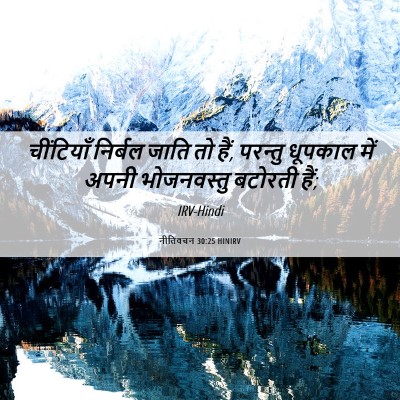 Picture 06 - नीतिवचन 30:25 HINIRV - चींटियाँ निर्बल - Bible Verse Picture