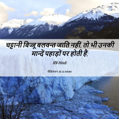 Picture 06 - नीतिवचन 30:26 HINIRV - चट्टानी बिज्जू - Bible Verse Picture
