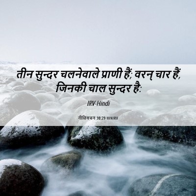 Picture 06 - नीतिवचन 30:29 HINIRV - तीन सुन्दर - Bible Verse Picture