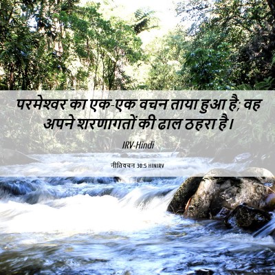 Picture 06 - नीतिवचन 30:5 HINIRV - परमेश्‍वर का एक-एक - Bible Verse Picture