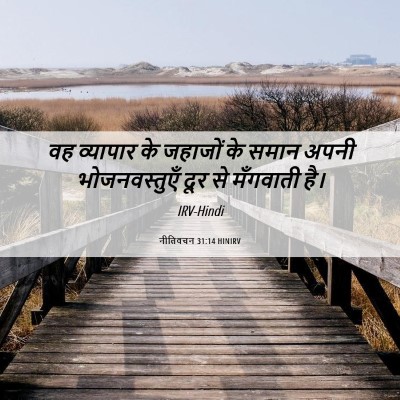 Picture 06 - नीतिवचन 31:14 HINIRV - वह व्यापार के - Bible Verse Picture