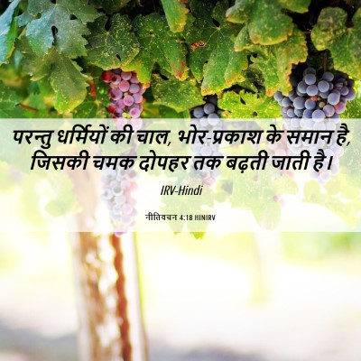 Picture 06 - नीतिवचन 4:18 HINIRV - परन्तु धर्मियों - Bible Verse Picture