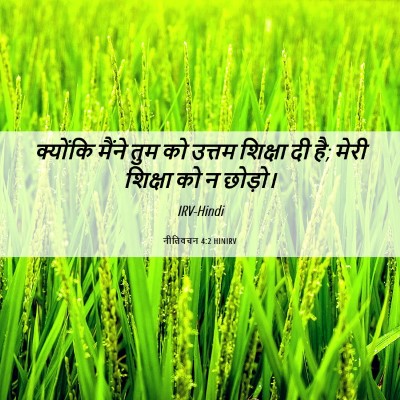 Picture 06 - नीतिवचन 4:2 HINIRV - क्योंकि मैंने तुम - Bible Verse Picture