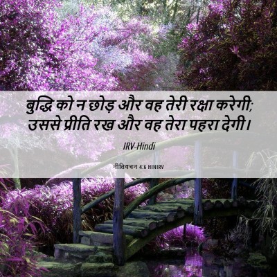 Picture 06 - नीतिवचन 4:6 HINIRV - बुद्धि को न छोड़ और - Bible Verse Picture