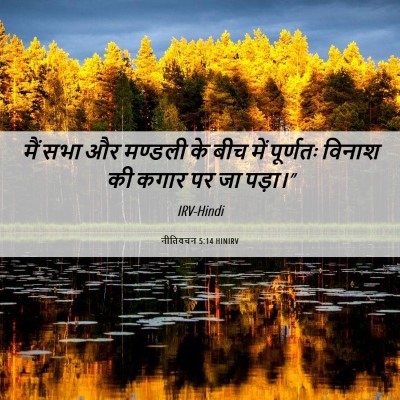 Picture 06 - नीतिवचन 5:14 HINIRV - मैं सभा और मण्डली - Bible Verse Picture