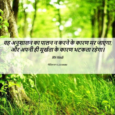 Picture 06 - नीतिवचन 5:23 HINIRV - वह अनुशासन का पालन - Bible Verse Picture