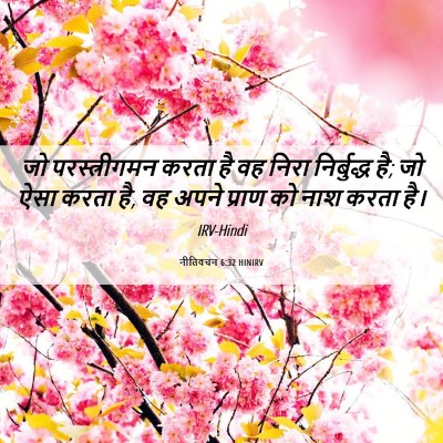 Picture 06 - नीतिवचन 6:32 HINIRV - जो परस्त्रीगमन - Bible Verse Picture