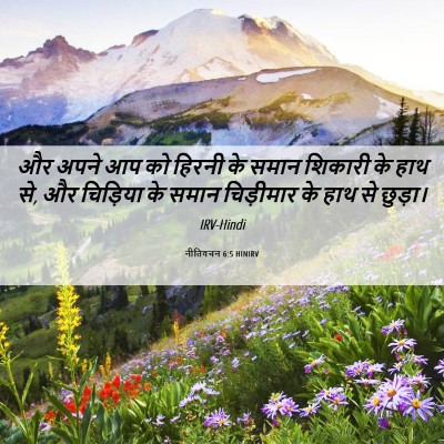 Picture 06 - नीतिवचन 6:5 HINIRV - और अपने आप को हिरनी - Bible Verse Picture