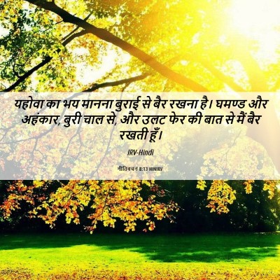 Picture 06 - नीतिवचन 8:13 HINIRV - यहोवा का भय मानना - Bible Verse Picture