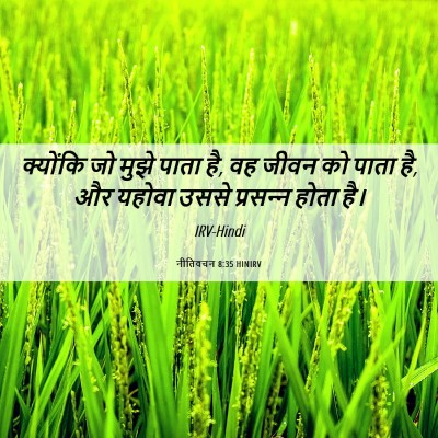 Picture 06 - नीतिवचन 8:35 HINIRV - क्योंकि जो मुझे - Bible Verse Picture