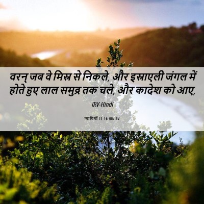 Picture 06 - न्यायियों 11:16 HINIRV - वरन् जब वे मिस्र से - Bible Verse Picture