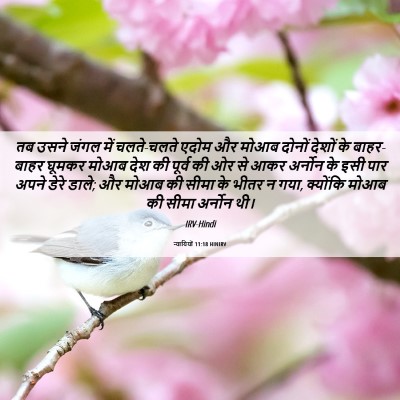 Picture 06 - न्यायियों 11:18 HINIRV - तब उसने जंगल में - Bible Verse Picture