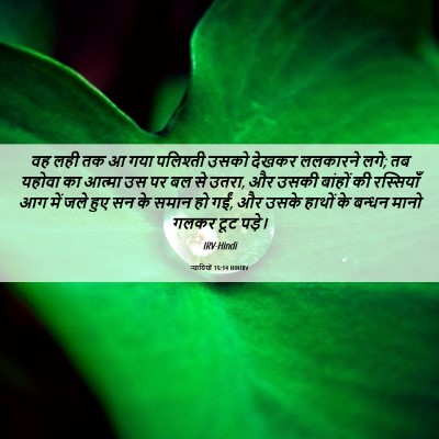 Picture 06 - न्यायियों 15:14 HINIRV - वह लही तक आ गया - Bible Verse Picture