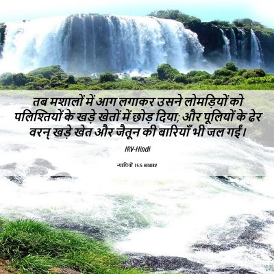Picture 06 - न्यायियों 15:5 HINIRV - तब मशालों में आग - Bible Verse Picture