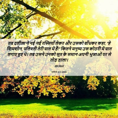 Picture 06 - न्यायियों 16:12 HINIRV - तब दलीला ने नई-नई - Bible Verse Picture