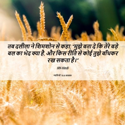 Picture 06 - न्यायियों 16:6 HINIRV - तब दलीला ने शिमशोन - Bible Verse Picture