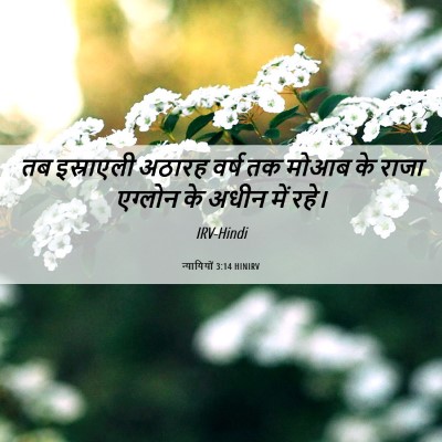 Picture 06 - न्यायियों 3:14 HINIRV - तब इस्राएली अठारह - Bible Verse Picture