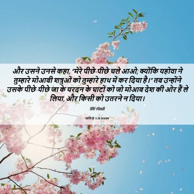 Picture 06 - न्यायियों 3:28 HINIRV - और उसने उनसे कहा, - Bible Verse Picture