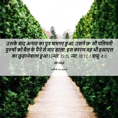 Picture 06 - न्यायियों 3:31 HINIRV - उसके बाद अनात का - Bible Verse Picture