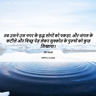 Picture 06 - न्यायियों 8:16 HINIRV - तब उसने उस नगर के - Bible Verse Picture