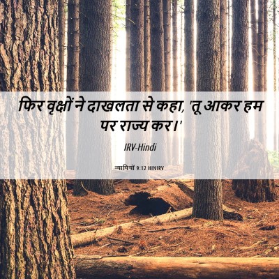 Picture 06 - न्यायियों 9:12 HINIRV - फिर वृक्षों ने - Bible Verse Picture