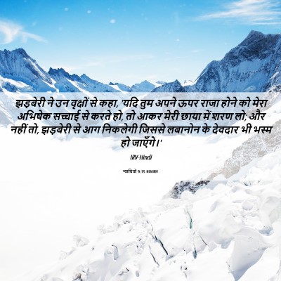 Picture 06 - न्यायियों 9:15 HINIRV - झड़बेरी ने उन - Bible Verse Picture