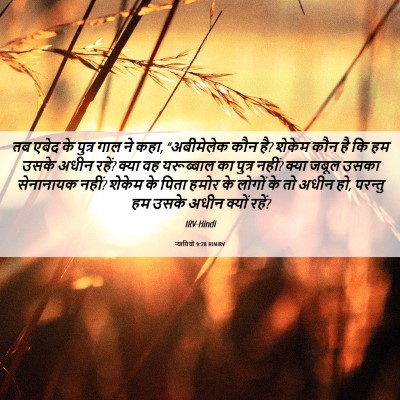Picture 06 - न्यायियों 9:28 HINIRV - तब एबेद के पुत्र - Bible Verse Picture