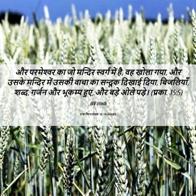 Picture 06 - प्रकाशितवाक्य 11:19 HINIRV - और परमेश्‍वर का जो - Bible Verse Picture