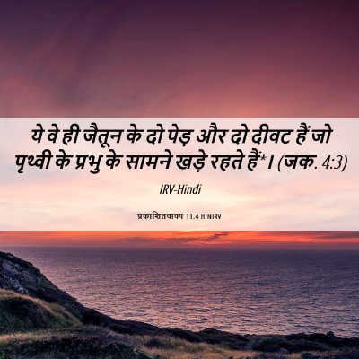 Picture 06 - प्रकाशितवाक्य 11:4 HINIRV - ये वे ही जैतून के - Bible Verse Picture
