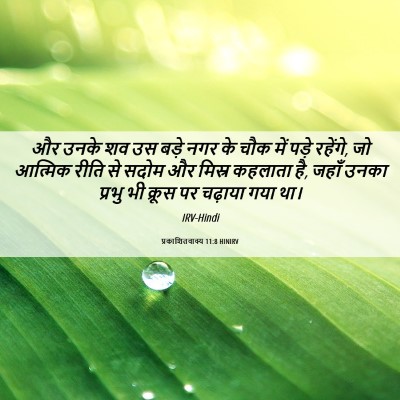 Picture 06 - प्रकाशितवाक्य 11:8 HINIRV - और उनके शव उस बड़े - Bible Verse Picture