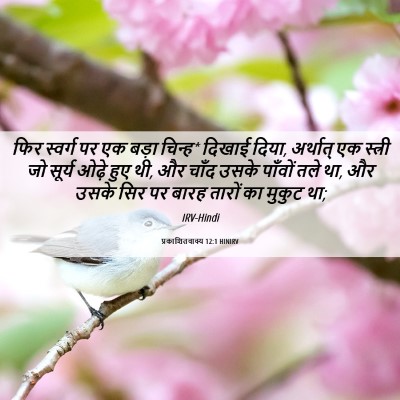 Picture 06 - प्रकाशितवाक्य 12:1 HINIRV - फिर स्वर्ग पर एक - Bible Verse Picture