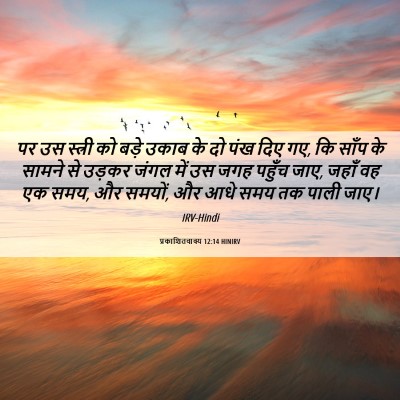 Picture 06 - प्रकाशितवाक्य 12:14 HINIRV - पर उस स्त्री को - Bible Verse Picture