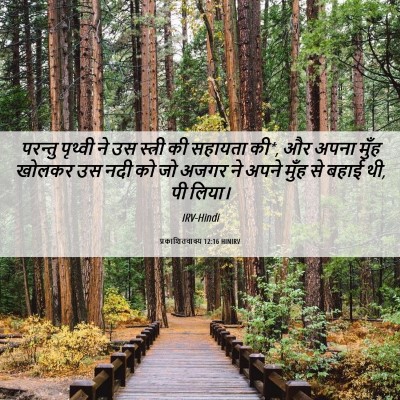 Picture 06 - प्रकाशितवाक्य 12:16 HINIRV - परन्तु पृथ्वी ने - Bible Verse Picture