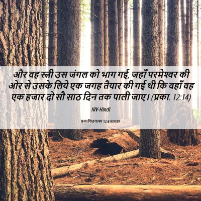 Picture 06 - प्रकाशितवाक्य 12:6 HINIRV - और वह स्त्री उस - Bible Verse Picture