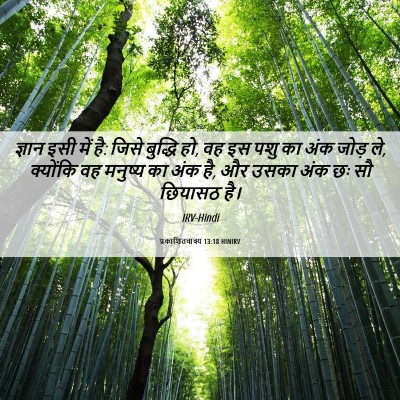 Picture 06 - प्रकाशितवाक्य 13:18 HINIRV - ज्ञान इसी में है: - Bible Verse Picture
